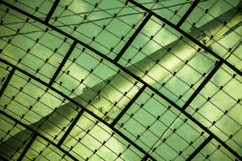 Architektur - Architekturfotografie - Chip Startseite - Dach - Deutschland - Filmlook - München - Olympiastadion     von Franco Tessarolo
