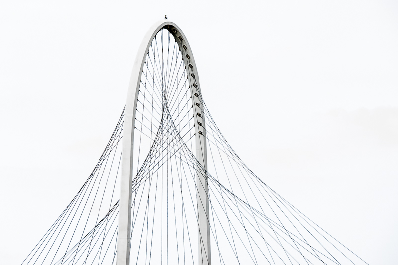 Architektur - Architekturfotografie - Brücke - Calatrava - High-Key - Instagram - Italien - Monochrom - Reggio Emilia - View von Franco Tessarolo