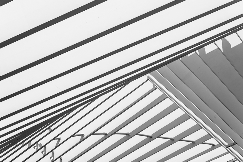 Architektur - Architekturfotografie - Bahnhof - Calatrava - Fassade - Instagram - Italien - Photo18 - Reggio Emilia   von Franco Tessarolo