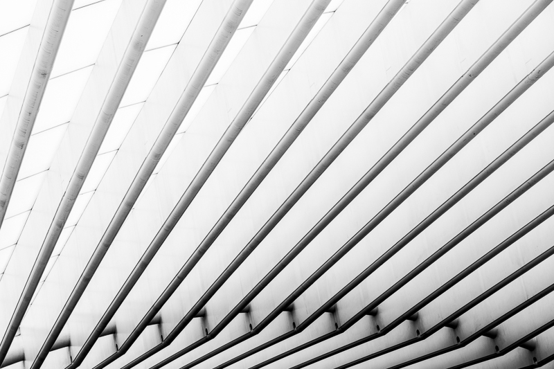 Architektur - Architekturfotografie - Bahnhof - Calatrava - Estação do Oriente - Instagram - Lissabon - Portugal     von Franco Tessarolo