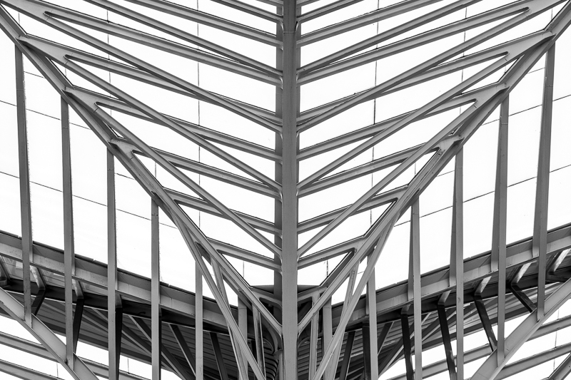 Architektur - Architekturfotografie - Bahnhof - Calatrava - Lissabon - Monochrom - Portugal       von Franco Tessarolo