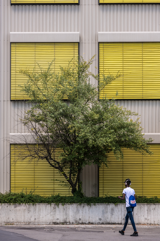 Architektur - Architekturfotografie - Baum - Fassade - Gelb - Instagram - Mann - Mensch - Natur - Oerlikon von Franco Tessarolo