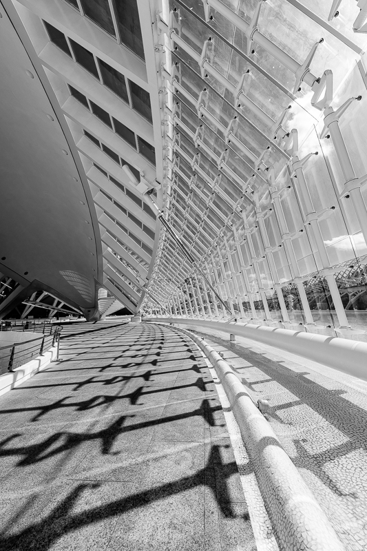 Architektur - Architekturfotografie - Calatrava - Monochrom - Spanien - Valencia - l'Hemisfèric       von Franco Tessarolo