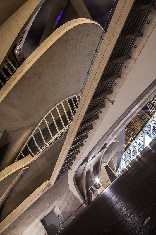Architektur - Architekturfotografie - Calatrava - Palau de les Arts - Spanien - Valencia         von Franco Tessarolo