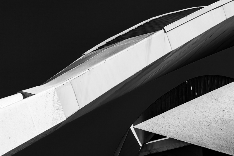 Architektur - Architekturfotografie - Calatrava - Monochrom - Palau de les Arts - Spanien - Valencia       von Franco Tessarolo