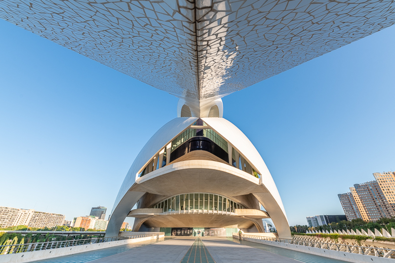 Architektur - Architekturfotografie - Calatrava - Instagram - Museu de les Ciències Príncipe Felipe - Palau de les Arts - Spanien - Valencia     von Franco Tessarolo