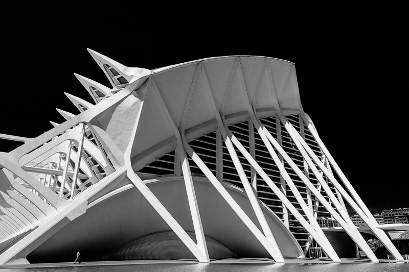 Architektur - Architekturfotografie - Calatrava - Monochrom - Spanien - Valencia         von Franco Tessarolo