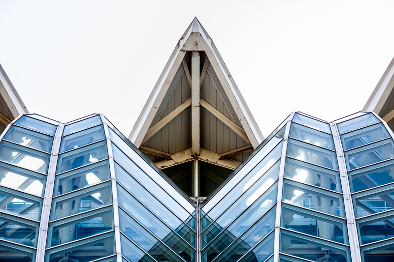 Architektur - Architekturfotografie - Calatrava - Instagram - Museu de les Ciències Príncipe Felipe - Spanien - Valencia       von Franco Tessarolo