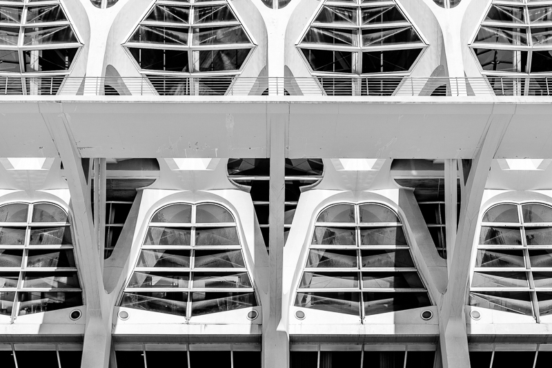 Architektur - Architekturfotografie - Calatrava - Monochrom - Museu de les Ciències Príncipe Felipe - Spanien - Valencia       von Franco Tessarolo