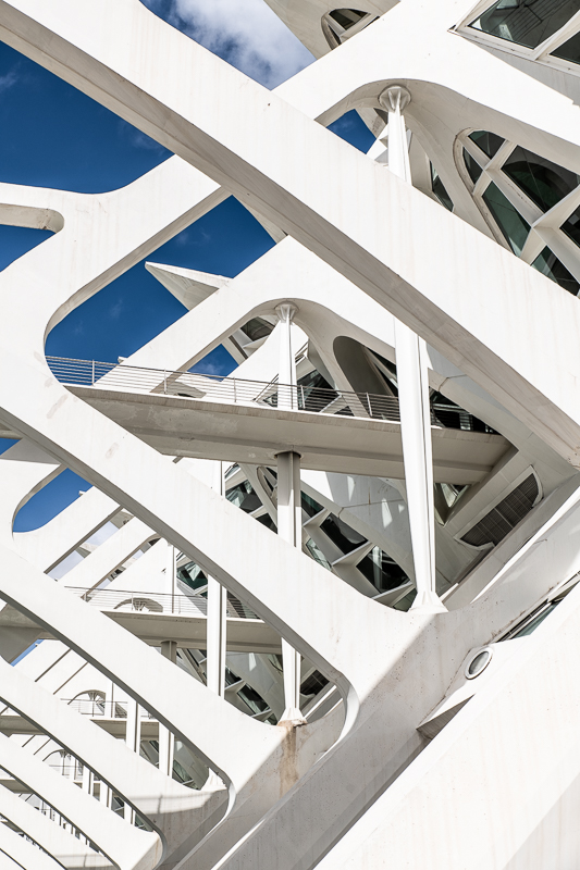Architektur - Architekturfotografie - Calatrava - Museu de les Ciències Príncipe Felipe - Spanien - Valencia         von Franco Tessarolo
